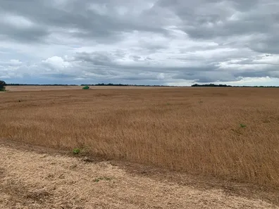 Fazenda/Sítio com 5 Quartos à venda, 740m² no , Talismã