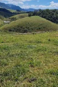 Fazenda/Sítio à venda, 484m² no , Alfredo Chaves