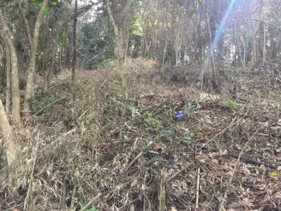 Lote/Terreno à venda, 506m² no Granja Carneiro Viana, Cotia