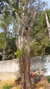 Lote/Terreno à venda, 212m² no Tucuruvi, São Paulo