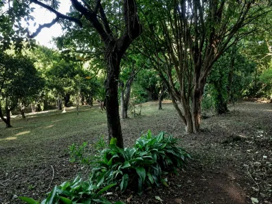 Lote/Terreno à venda, 2280m² no Campestre, São Leopoldo