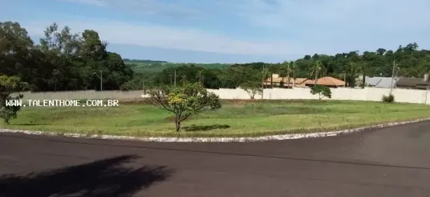 Lote/Terreno à venda, 519m² no Jardim Panorama, Arapongas