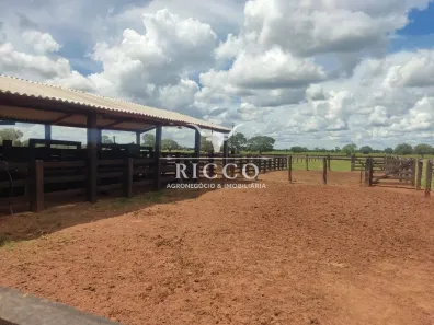 Fazenda/Sítio com 3 Quartos à venda, 276m² no Setor Central, São Miguel do Araguaia