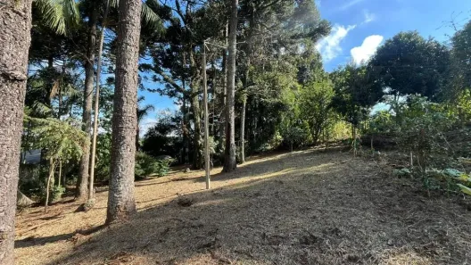 Fazenda/Sítio com 6 Quartos à venda, 140m² no São Miguel, Curitiba