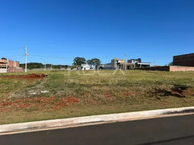 Lote/Terreno à venda, 250m² no Residencial Samambaia, São Carlos