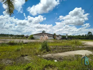 Lote/Terreno à venda, 60000m² no Iguaçu, Fazenda Rio Grande