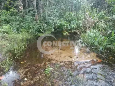 Fazenda/Sítio à venda, 680m² no , Arraias
