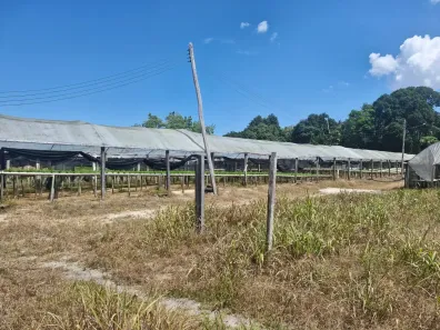 Lote/Terreno à venda, 46000m² no Jorge Teixeira, Manaus