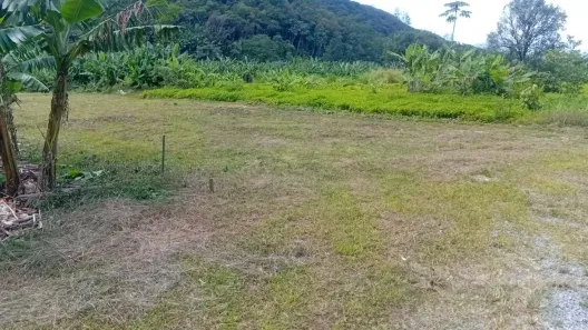 Fazenda/Sítio com 1 Quarto à venda, 60m² no Área Rural de Jaraguá do Sul, Jaraguá do Sul