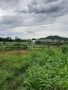 Fazenda/Sítio com 6 Quartos à venda, 33m² no Setor Central, Montes Claros de Goiás