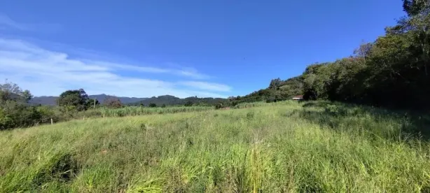 Fazenda/Sítio à venda, 8000m² no , Rolante