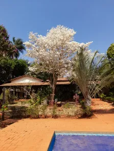 Fazenda/Sítio com 5 Quartos à venda, 350m² no Sítios Olhos D'agua, Senador Canedo