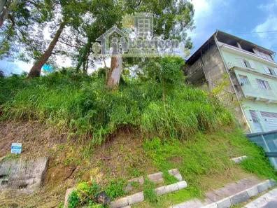 Lote/Terreno à venda, 266m² no Jardim Nossa Senhora do Carmo, São Paulo