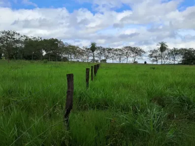 Fazenda/Sítio à venda, 238000m² no Centro, Terenos