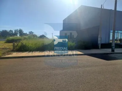 Lote/Terreno à venda, 253m² no Jardim do Bosque, São Carlos