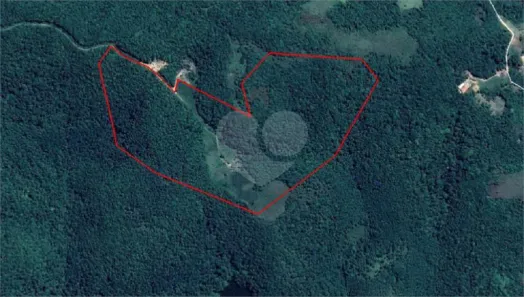 Lote/Terreno à venda, 480000m² no Centro, Piedade