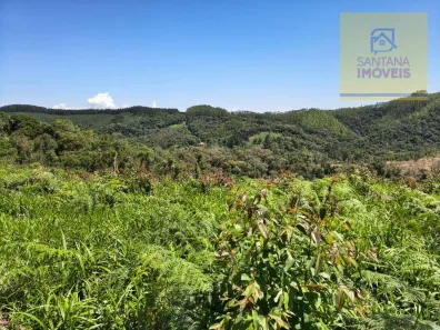 Fazenda/Sítio à venda, 159600m² no Três Córregos, Campo Largo