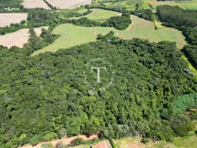 Fazenda/Sítio com 1 Quarto à venda, 366050m² no Rio Abaixo, Jarinu