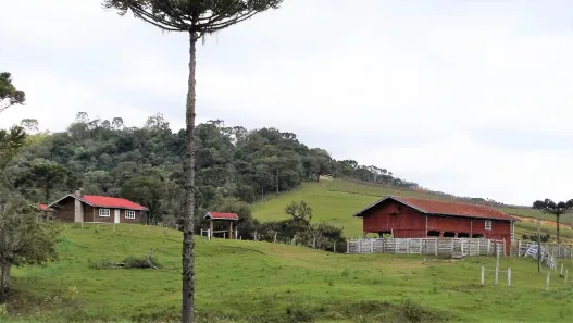 Fazenda/Sítio com 2 Quartos à venda, 4100000m² no , Bom Retiro