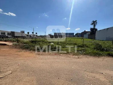 Lote/Terreno com 1 Quarto à venda, 12m² no Custódio Pereira, Uberlândia