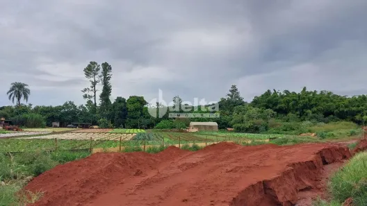 Lote/Terreno para alugar, 3235m² no Shopping Park, Uberlândia