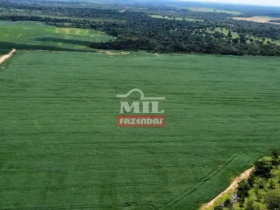 Fazenda/Sítio à venda, 500m² no , Pedro Afonso