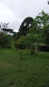 Fazenda/Sítio com 2 Quartos à venda, 14000m² no , São José dos Pinhais