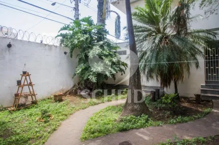 Casa com 5 Quartos para alugar, 300m² no Vila Congonhas, São Paulo