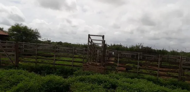 Fazenda/Sítio com 4 Quartos à venda, 5000000m² no , Parazinho