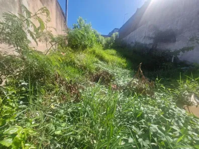 Lote/Terreno à venda, 250m² no Parque São George, Cotia