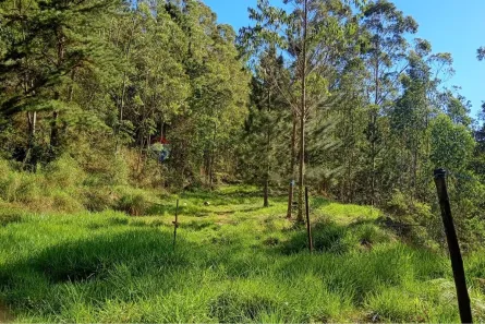Lote/Terreno à venda, 2364m² no Mury, Nova Friburgo