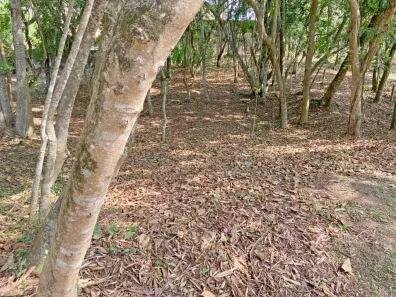 Lote/Terreno à venda, 1335m² no Parque Rincão, Cotia