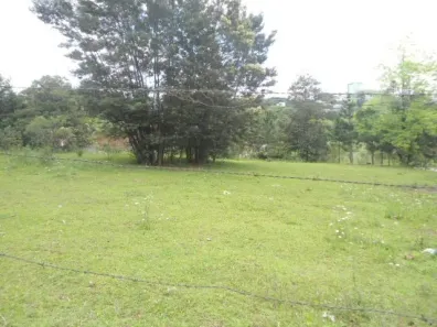 Lote/Terreno para alugar no Salgado Filho, Caxias do Sul