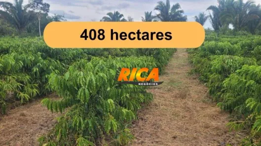 Fazenda/Sítio à venda, 4080000m² no Área Rural de Porto Velho, Porto Velho