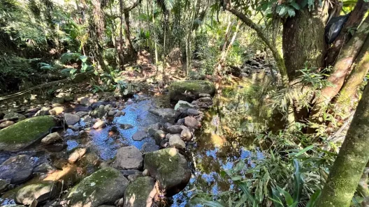 Lote/Terreno à venda, 500m² no , Morretes