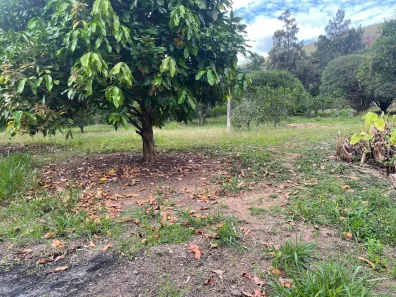 Lote/Terreno à venda, 2300m² no Itaipava, Petrópolis