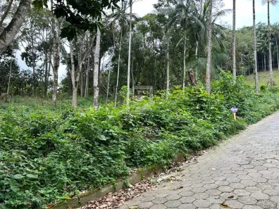 Lote/Terreno à venda, 2m² no Velha Central, Blumenau