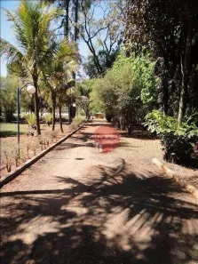 Fazenda/Sítio com 5 Quartos à venda, 676m² no Conjunto Habitacional Jardim das Palmeiras II, Ribeirão Preto