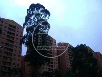 Apartamento com 3 Quartos à venda, 65m² no Vila do Castelo, São Paulo