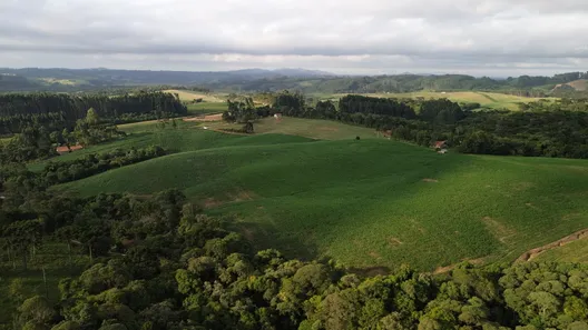 Fazenda/Sítio à venda, 150000m² no Centro, Campo Alegre