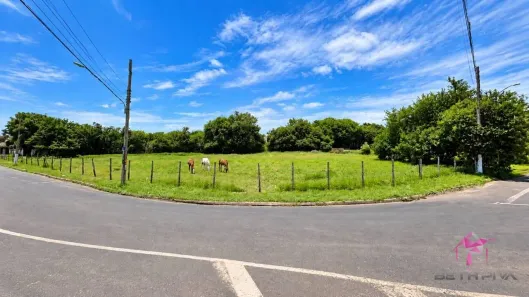 Lote/Terreno à venda, 6056m² no Parque Residencial Itamaraty, Leme