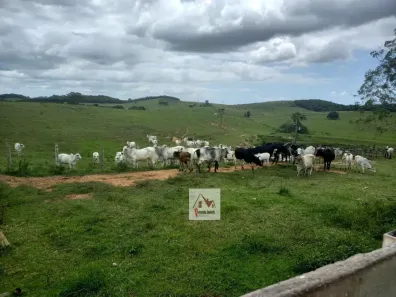 Fazenda/Sítio com 3 Quartos à venda, 629200m² no Bicuíba (Bacaxá), Saquarema