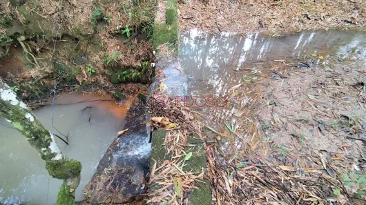 Fazenda/Sítio com 3 Quartos à venda, 45000m² no Recanto das Emas, Brasília