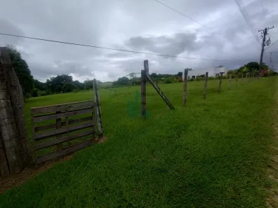 Lote/Terreno à venda, 5000m² no Jardim Primavera, São Pedro