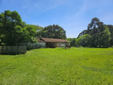 Fazenda/Sítio com 2 Quartos à venda, 121000m² no , Antônio Olinto