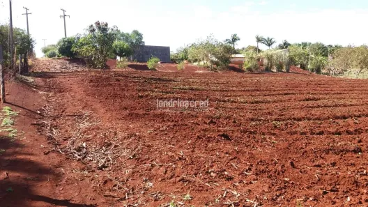 com 1 Quarto à venda, 5800m² no Warta, Londrina