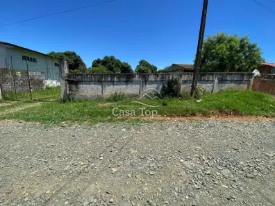 Lote/Terreno à venda, 640m² no Colônia Dona Luíza, Ponta Grossa