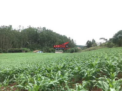 Fazenda/Sítio com 2 Quartos à venda, 300000m² no , Paula Cândido