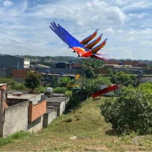 Lote/Terreno à venda, 500m² no Paisagem Casa Grande, Cotia