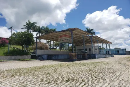 Ponto Comercial com 10 Quartos à venda, 110000m² no Maniçoba, São Caetano